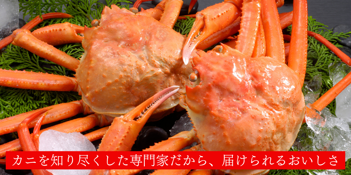 カニクリーム 新規オープンのお知らせ | カニクリーム専門店 Creamy Crab